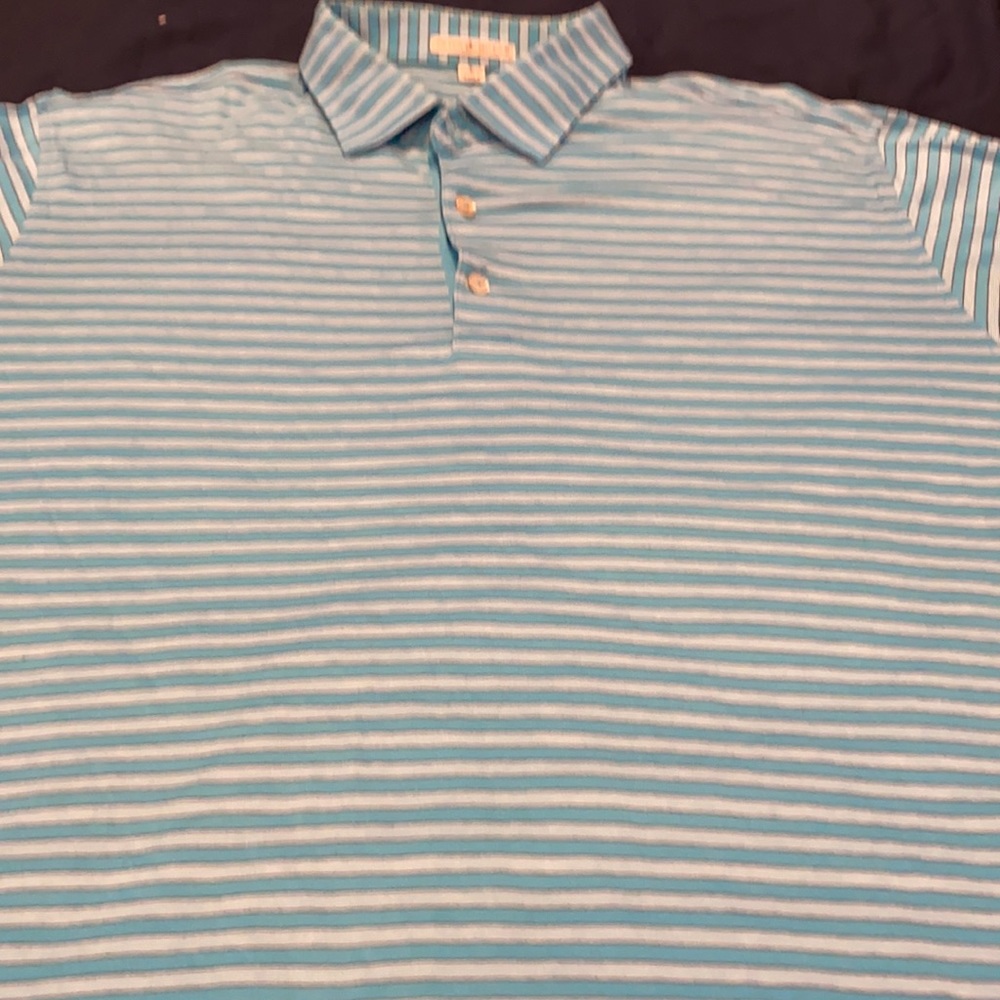 Mint Condition Peter Millar Large Polo - image 1